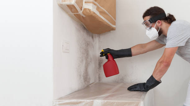 Professional Basement Mold Removal technician working in Highland Park, NJ