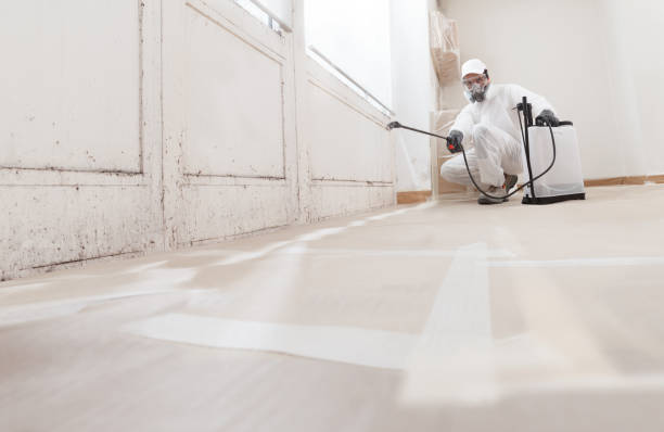 24/7 Emergency Basement Mold Removal experts in Highland Park, NJ