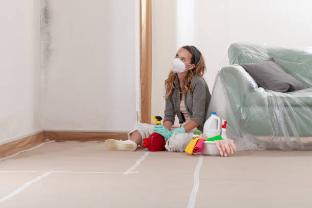 Reliable Basement Mold Removal contractor in Highland Park, NJ by WQB Mold Removal